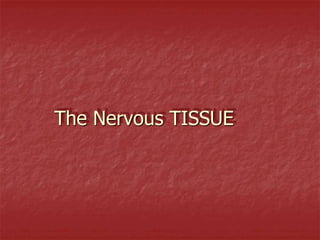 The Nervous TISSUE
 