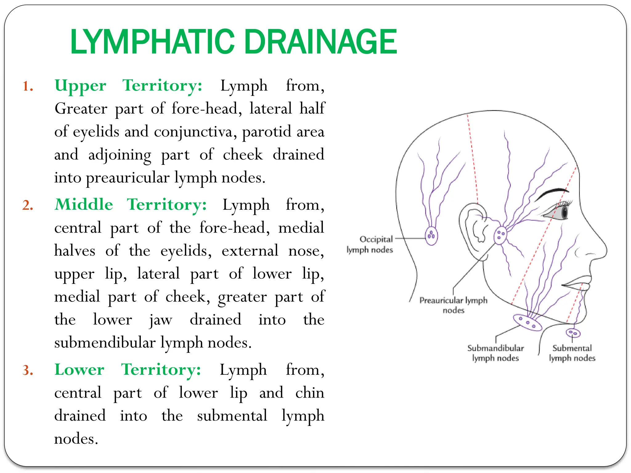 Nerve,Vessels & Lymphatic Drainage of Face.pptx