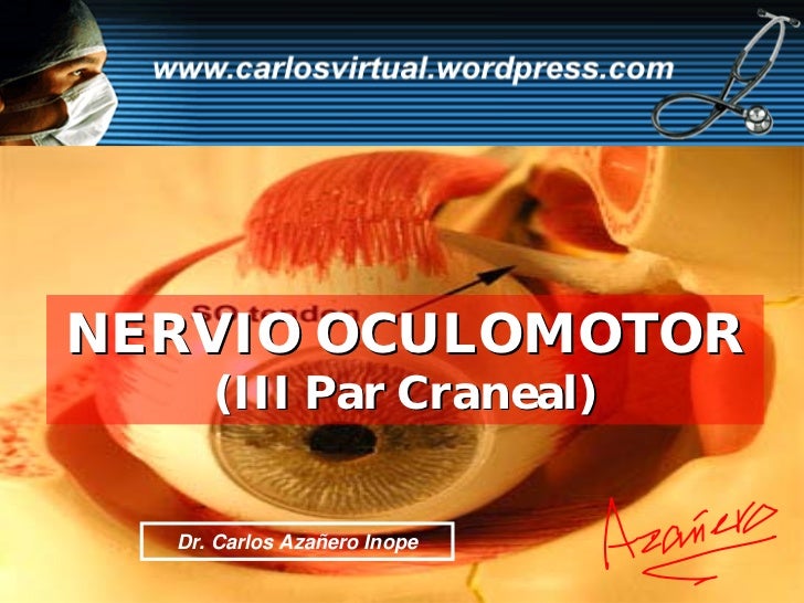 Nervio Oculomotor (Iii Par Craneal)