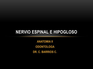 ANATOMIA II
ODONTOLOGA
DR. C. BARRIOS C.
NERVIO ESPINAL E HIPOGLOSO
 