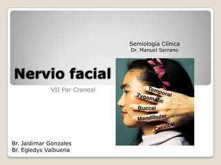 Semiología Clínica Dr. Manuel Serrano Nervio facial VII Par Craneal Br. Jaidimar Gonzales Br. Egledys Valbuena 