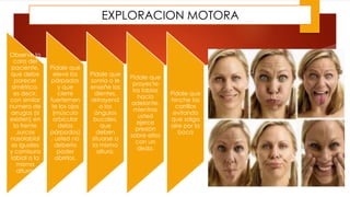 EXPLORACION MOTORA
Observe la
cara del
paciente,
que debe
parecer
simétrica,
es decir,
con similar
numero de
arrugas (si
existen) en
la frente
,surcos
nasolabial
es iguales
y comisura
labial a la
misma
altura.
Pídale que
eleve los
párpados
y que
cierre
fuertemen
te los ojos
(músculo
orbicular
delos
párpados)
, usted no
debería
poder
abrirlos.
Pídale que
sonría o le
enseñe los
dientes,
retrayend
o los
ángulos
bucales,
que
deben
situarse a
la misma
altura.
Pídale que
proyecte
los labios
hacia
adelante,
mientras
usted
ejerce
presión
sobre ellos
con un
dedo.
Pídale que
hinche los
carrillos
evitando
que salga
aire por la
boca
 