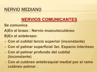 NERVIO MEDIANO

         NERVIOS COMUNICANTES
Se comunica
A)En el brazo : Nervio musculocutáneo
B)En el antebrazo:
 Con el cubital tercio superior (inconstante)

 Con el palmar superficial 3er. Espacio interóseo

 Con el palmar profundo del cubital
  (inconstante)
 Con el cutáneo antebraquial medial por el ramo
  cutáneo palmar .
 