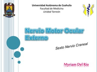 Myriam Del Río
Universidad Autónoma de Coahuila
Facultad de Medicina
Unidad Torreón
 