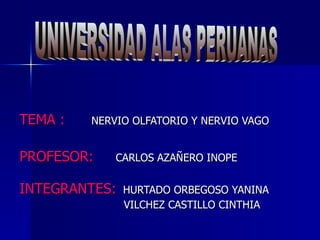 TEMA :   NERVIO OLFATORIO Y NERVIO VAGO


PROFESOR:    CARLOS AZAÑERO INOPE


INTEGRANTES:   HURTADO ORBEGOSO YANINA
               VILCHEZ CASTILLO CINTHIA
 