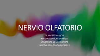 NERVIO OLFATORIO
DR. ANDRES MASACHE
POSGRADISTA DE NEUROLOGIA
UNIVERSIDAD DE LAS AMERICAS
HOSPITAL DE LA POLICIA QUITO N.-1
 
