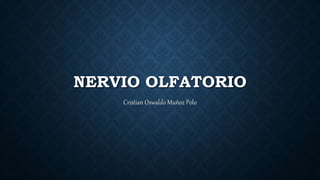 NERVIO OLFATORIO
Cristian Oswaldo Muñoz Polo
 