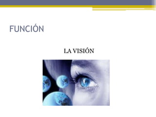 FUNCIÓN
LA VISIÓN
 