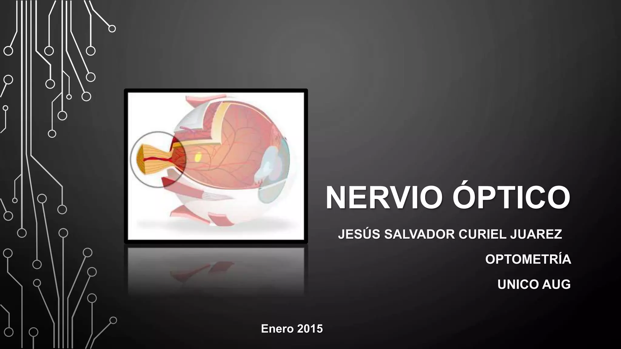 Nervio Óptico: Definición Y Función – KYPB
