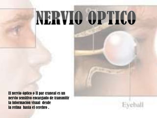 El nervio óptico o II par craneal es un
nervio sensitivo encargado de transmitir
la información visual desde
la retina hasta el cerebro .
 