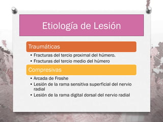 Etiología de Lesión
Traumáticas
• Fracturas del tercio proximal del húmero.
• Fracturas del tercio medio del húmero
Compresivas
• Arcada de Froshe
• Lesión de la rama sensitiva superficial del nervio
  radial
• Lesión de la rama digital dorsal del nervio radial
 