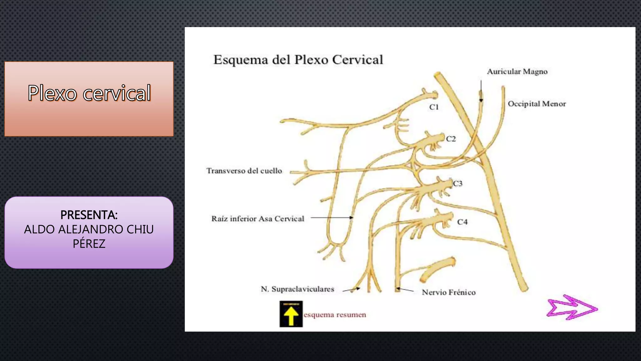 PRESENTA:
ALDO ALEJANDRO CHIU
PÉREZ
 