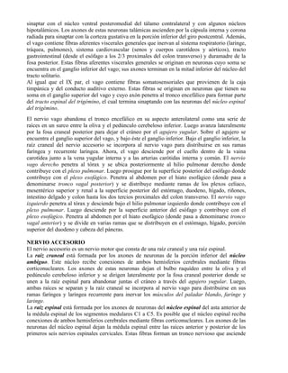 sinaptar con el núcleo ventral posteromedial del tálamo contralateral y con algunos núcleos
hipotalámicos. Los axones de estas neuronas talámicas ascienden por la cápsula interna y corona
radiada para sinaptar con la corteza gustativa en la porción inferior del giro postcentral. Además,
el vago contiene fibras aferentes viscerales generales que inervan al sistema respiratorio (laringe,
tráquea, pulmones), sistema cardiovascular (senos y cuerpos carotídeos y aórticos), tracto
gastrointestinal (desde el esófago a los 2/3 proximales del colon transverso) y duramadre de la
fosa posterior. Estas fibras aferentes viscerales generales se originan en neuronas cuyo soma se
encuentra en el ganglio inferior del vago; sus axones terminan en la mitad inferior del núcleo del
tracto solitario.
Al igual que el IX par, el vago contiene fibras somatosensoriales que provienen de la caja
timpánica y del conducto auditivo externo. Estas fibras se originan en neuronas que tienen su
soma en el ganglio superior del vago y cuyo axón penetra al tronco encefálico para formar parte
del tracto espinal del trigémino, el cual termina sinaptando con las neuronas del núcleo espinal
del trigémino.
El nervio vago abandona el tronco encefálico en su aspecto anterolateral como una serie de
raíces en un surco entre la oliva y el pedúnculo cerebeloso inferior. Luego avanza lateralmente
por la fosa craneal posterior para dejar el cráneo por el agujero yugular. Sobre el agujero se
encuentra el ganglio superior del vago, y bajo éste el ganglio inferior. Bajo el ganglio inferior, la
raíz craneal del nervio accesorio se incorpora al nervio vago para distribuirse en sus ramas
faríngea y recurrente laríngea. Ahora, el vago desciende por el cuello dentro de la vaina
carotídea junto a la vena yugular interna y a las arterias carótidas interna y común. El nervio
vago derecho penetra al tórax y se ubica posteriormente al hilio pulmonar derecho donde
contribuye con el plexo pulmonar. Luego prosigue por la superficie posterior del esófago donde
contribuye con el plexo esofágico. Penetra al abdomen por el hiato esofágico (donde pasa a
denominarse tronco vagal posterior) y se distribuye mediante ramas de los plexos celíaco,
mesentérico superior y renal a la superficie posterior del estómago, duodeno, hígado, riñones,
intestino delgado y colon hasta los dos tercios proximales del colon transverso. El nervio vago
izquierdo penetra al tórax y desciende bajo el hilio pulmonar izquierdo donde contribuye con el
plexo pulmonar. Luego desciende por la superficie anterior del esófago y contribuye con el
plexo esofágico. Penetra al abdomen por el hiato esofágico (donde pasa a denominarse tronco
vagal anterior) y se divide en varias ramas que se distribuyen en el estómago, hígado, porción
superior del duodeno y cabeza del páncras.

NERVIO ACCESORIO
El nervio accesorio es un nervio motor que consta de una raíz craneal y una raíz espinal.
La raíz craneal está formada por los axones de neuronas de la porción inferior del núcleo
ambiguo. Este núcleo recibe conexiones de ambos hemisferios cerebrales mediante fibras
corticonucleares. Los axones de estas neuronas dejan el bulbo raquídeo entre la oliva y el
pedúnculo cerebeloso inferior y se dirigen lateralmente por la fosa craneal posterior donde se
unen a la raíz espinal para abandonar juntas el cráneo a través del agujero yugular. Luego,
ambas raíces se separan y la raíz craneal se incorpora al nervio vago para distribuirse en sus
ramas faríngea y laríngea recurrente para inervar los músculos del paladar blando, faringe y
laringe.
La raíz espinal está formada por los axones de neuronas del núcleo espinal del asta anterior de
la médula espinal de los segmentos medulares C1 a C5. Es posible que el núcleo espinal reciba
conexiones de ambos hemisferios cerebrales mediante fibras corticonucleares. Los axones de las
neuronas del núcleo espinal dejan la médula espinal entre las raíces anterior y posterior de los
primeros seis nervios espinales cervicales. Estas fibras forman un tronco nervioso que asciende
 