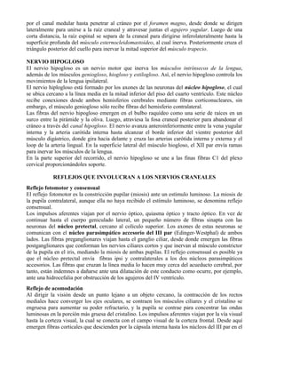 por el canal medular hasta penetrar al cráneo por el foramen magno, desde donde se dirigen
lateralmente para unirse a la raíz craneal y atravesar juntas el agujero yugular. Luego de una
corta distancia, la raíz espinal se separa de la craneal para dirigirse inferolateralmente hasta la
superficie profunda del músculo esternocleidomastoideo, al cual inerva. Posteriormente cruza el
triángulo posterior del cuello para inervar la mitad superior del músculo trapecio.

NERVIO HIPOGLOSO
El nervio hipogloso es un nervio motor que inerva los músculos intrínsecos de la lengua,
además de los músculos geniogloso, hiogloso y estilogloso. Así, el nervio hipogloso controla los
movimientos de la lengua ipsilateral.
El nervio hiplogloso está formado por los axones de las neuronas del núcleo hipogloso, el cual
se ubica cercano a la línea media en la mitad inferior del piso del cuarto ventrículo. Este núcleo
recibe conexiones desde ambos hemisferios cerebrales mediante fibras corticonucleares, sin
embargo, el músculo geniogloso sólo recibe fibras del hemisferio contralateral.
Las fibras del nervio hipogloso emergen en el bulbo raquídeo como una serie de raíces en un
surco entre la pirámide y la oliva. Luego, atraviesa la fosa craneal posterior para abandonar el
cráneo a través del canal hipogloso. El nervio avanza anteroinferiormente entre la vena yugular
interna y la arteria carótida interna hasta alcanzar el borde inferior del vientre posterior del
músculo digástrico, donde gira hacia delante y cruza las arterias carótida interna y externa y el
loop de la arteria lingual. En la superficie lateral del músculo hiogloso, el XII par envía ramas
para inervar los músculos de la lengua.
En la parte superior del recorrido, el nervio hipogloso se une a las finas fibras C1 del plexo
cervical proporcionándoles soporte.

            REFLEJOS QUE INVOLUCRAN A LOS NERVIOS CRANEALES
Reflejo fotomotor y consensual
El reflejo fotomotor es la constricción pupilar (miosis) ante un estímulo luminoso. La miosis de
la pupila contralateral, aunque ella no haya recibido el estímulo luminoso, se denomina reflejo
consensual.
Los impulsos aferentes viajan por el nervio óptico, quiasma óptico y tracto óptico. En vez de
continuar hasta el cuerpo geniculado lateral, un pequeño número de fibras sinapta con las
neuronas del núcleo pretectal, cercano al colículo superior. Los axones de estas neuronas se
comunican con el núcleo parasimpático accesorio del III par (Edinger-Westphal) de ambos
lados. Las fibras preganglionares viajan hasta el ganglio ciliar, desde donde emergen las fibras
postganglionares que conforman los nervios ciliares cortos y que inervan al músculo constrictor
de la pupila en el iris, mediando la miosis de ambas pupilas. El reflejo consensual es posible ya
que el núcleo pretectal envía fibras ipsi y contralaterales a los dos núcleos parasimpáticos
accesorios. Las fibras que cruzan la línea media lo hacen muy cerca del acueducto cerebral, por
tanto, están indemnes a dañarse ante una dilatación de este conducto como ocurre, por ejemplo,
ante una hidrocefalia por obstrucción de los agujeros del IV ventrículo.
Reflejo de acomodación
Al dirigir la visión desde un punto lejano a un objeto cercano, la contracción de los rectos
mediales hace converger los ejes oculares, se contraen los músculos ciliares y el cristalino se
engruesa para aumentar su poder refractario, y la pupila se contrae para concentrar las ondas
luminosas en la porción más gruesa del cristalino. Los impulsos aferentes viajan por la vía visual
hasta la corteza visual, la cual se conecta con el campo visual de la corteza frontal. Desde aquí
emergen fibras corticales que descienden por la cápsula interna hasta los núcleos del III par en el
 