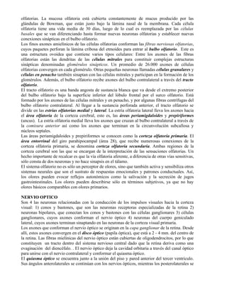 olfatorias. La mucosa olfatoria está cubierta constantemente de mucus producido por las
glándulas de Bowman, que están justo bajo la lámina nasal de la membrana. Cada célula
olfatoria tiene una vida media de 30 días, luego de lo cual es reemplazada por las células
basales que se van diferenciando hasta formar nuevas neuronas olfatorias y establecer nuevas
conexiones sinápticas en el bulbo olfatorio.
Los finos axones amielínicos de las células olfatorias conforman las fibras nerviosas olfatorias,
cuyos paquetes perforan la lámina cribosa del etmoides para entrar al bulbo olfatorio. Este es
una estructura ovoidea que contiene varios tipos celulares: Entre los axones de las fibras
olfatorias están las dendritas de las células mitrales para constituir complejas estructuras
sinápticas denominadas glomérulos sinápticos. Un promedio de 26.000 axones de células
olfatorias convergen en cada glomérulo. Otras pequeñas neuronas llamadas células granulares y
células en penacho también sinaptan con las células mitrales y participan en la formación de los
glomérulos. Además, el bulbo olfatorio recibe axones del bulbo contralateral a través del tracto
olfatorio.
El tracto olfatorio es una banda angosta de sustancia blanca que va desde el extremo posterior
del bulbo olfatorio bajo la superficie inferior del lóbulo frontal por el surco olfatorio. Está
formado por los axones de las células mitrales y en penacho, y por algunas fibras centrífugas del
bulbo olfatorio contralateral. Al llegar a la sustancia perforada anterior, el tracto olfatorio se
divide en las estrías olfatorias medial y lateral. La estría olfatoria lateral lleva los axones hacia
el área olfatoria de la corteza cerebral, esto es, las áreas periamigdaloides y prepiriformes
(uncus). La estría olfatoria medial lleva los axones que cruzan al bulbo contralateral a través de
la comisura anterior así como los axones que terminan en la circunvolución subcallosa y
núcleos septales.
Las áreas periamigdaloides y prepiriformes se conocen como la corteza olfatoria primaria. El
área entorrinal del giro parahipocampal (área 28), que recibe numerosas conexiones de la
corteza olfatoria primaria, se denomina corteza olfatoria secundaria. Ambas regiones de la
corteza cerebral son las que se encargan de la interpretación de las sensaciones olfatorias. Un
hecho importante de recalcar es que la vía olfatoria aferente, a diferencia de otras vías sensitivas,
sólo consta de dos neuronas y no hace sinapsis en el tálamo.
El sistema olfatorio no es sólo un perceptor de olores, sino que también activa y sensibiliza otros
sistemas neurales que son el sustrato de respuestas emocionales y patrones conductuales. Así,
los olores pueden evocar reflejos autonómicos como la salivación y la secreción de jugos
gastrointestinales. Los olores pueden describirse sólo en términos subjetivos, ya que no hay
olores básicos comparables con olores primarios.

NERVIO OPTICO
Son 4 las neuronas relacionadas con la conducción de los impulsos visuales hacia la corteza
visual: 1) conos y bastones, que son las neuronas receptoras especializadas de la retina 2)
neuronas bipolares, que conectan los conos y bastones con las células ganglionares 3) células
ganglionares, cuyos axones conforman el nervio óptico 4) neuronas del cuerpo geniculado
lateral, cuyos axones terminan sinaptando en las neuronas de la corteza visual primaria.
Los axones que conforman el nervio óptico se originan en la capa ganglionar de la retina. Desde
allí, estos axones convergen en el disco óptico (papila óptica), que está a 2 - 4 mm. del centro de
la retina. Las fibras mielínicas del nervio óptico están cubiertas de oligodendrocitos, por lo que
constituyen un tracto dentro del sistema nervioso central dado que la retina deriva como una
evaginación del diencéfalo. . El nervio óptico deja la cavidad orbitaria a través del canal óptico
para unirse con el nervio contralateral y conformar el quiasma óptico.
El quiasma óptico se encuentra junto a la unión del piso y pared anterior del tercer ventrículo.
Sus ángulos anterolaterales se continúan con los nervios ópticos, mientras los posterolaterales se
 