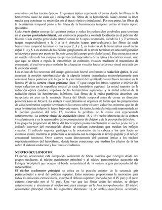 continúan con los tractos ópticos. El quiasma óptico representa el punto donde las fibras de la
hemirretina nasal de cada ojo (incluyendo las fibras de la hemimácula nasal) cruzan la línea
media para continuar su recorrido por el tracto óptico contralateral. Por otra parte, las fibras de
la hemirretina temporal junto a las fibras de la hemimácula temporal entran al tracto óptico
ipsilateral.
Cada tracto óptico emerge del quiasma óptico y rodea los pedúnculos cerebrales para terminar
en el cuerpo geniculado lateral, una eminencia pequeña y ovalada localizada en el pulvinar del
tálamo. Cada cuerpo geniculado lateral consta de 6 capas neuronales, siendo la 1 y 2 ventrales
(capas magnocelulares) y la 3 a la 6 dorsales (capas parvocelulares); las fibras de cada
hemirretina temporal terminan en las capas 2, 3 y 5, en tanto las de la hemirretina nasal en las
capas 1, 4 y 6. Los axones de las células ganglionares de la retina terminan en una configuración
retinotópica punto por punto en las seis capas del cuerpo geniculado lateral. Esta estructura no es
un simple relevo de los campos receptivos centro-perisferia de la retina a la corteza visual, sino
que aquí se altera o regula la transmisión de estímulos visuales mediante el mecanismo de
compuerta, el cual sirve para modular las aferencias visuales hacia la corteza visual asociada con
la atención visual.
Los axones de las neuronas del cuerpo geniculado lateral conforman la radiación óptica, la cual
atraviesa la porción retrolenticular de la cápsula interna organizadas retinotópicamente para
continuar hacia posterior a lo largo de la cara lateral del ventrículo lateral hasta terminar en la
lámina IV de la corteza visual primaria (área 17) que ocupa los labios superior e inferior del
surco calcarino en la superficie medial de cada hemisferio cerebral. La mitad superior de la
radiación óptica conduce impulsos de las hemirretinas superiores, y la mitad inferior de la
radiación óptica las hemirretinas inferiores. Las fibras de la retina periférica describen una
trayectoria en arco en la sustancia blanca del lóbulo temporal antes de cursar en dirección
posterior (asa de Meyer). La corteza visual primaria se organiza de forma que las proyecciones
de cada hemirretina superior terminan en la corteza sobre el surco calcarino, mientras que las de
cada hemirretina inferior lo hacen bajo este surco. En tanto, la mácula lútea está representada en
la porción posterior del área 17, mientras la periferia de la retina está representada
anteriormente. La corteza visual de asociación (áreas 18 y 19) recibe aferencias de la corteza
visual primaria y es la responsable del reconocimiento de objetos y de la percepción del color.
Una pequeña proporción de fibras del tracto óptico pasan directamente al núcleo pretectal y al
colículo superior del mesencéfalo donde se realizan conexiones que median los reflejos
visuales: El colículo superior participa en la orientación de la cabeza y los ojos hacia un
estímulo visual, mientras el pretectum se relaciona con la respuesta al reflejo pupilar y el reflejo
consensual luminoso. Otros axones pasan directamente del quiasma óptico a los núcleos
supraquiasmáticos del hipotálamo, donde hacen conexiones que median los efectos de la luz
sobre el sistema endocrino y los ritmos circadianos.

NERVIO OCULOMOTOR
El nervio oculomotor está compuesto solamente de fibras motoras que emergen desde dos
grupos nucleares: el núcleo oculomotor principal y el núcleo parasimpático accesorio (de
Edinger Westphal) que ocupan el borde anterolateral de la sustancia gris periacueductal del
mesencéfalo.
El núcleo oculomotor principal se ubica en la porción anterior de la sustancia gris
periacueductal a nivel del colículo superior. Estas neuronas proporcionan la inervación para
todos los músculos extraoculares, excepto el oblicuo superior (inervado por el IV par) y el recto
externo (inervado por el VI par). Una vez que las fibras dejan del núcleo, se dirigen
anteriormente y atraviesan el núcleo rojo para emerger en la fosa interpeduncular. El núcleo
oculomotor principal recibe las siguientes aferencias: 1) de ambos hemisferios cerebrales
 