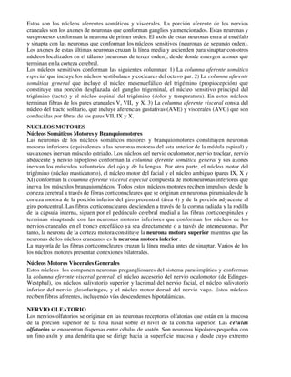 Estos son los núcleos aferentes somáticos y viscerales. La porción aferente de los nervios
craneales son los axones de neuronas que conforman ganglios ya mencionados. Estas neuronas y
sus procesos conforman la neurona de primer orden. El axón de estas neuronas entra al encéfalo
y sinapta con las neuronas que conforman los núcleos sensitivos (neuronas de segundo orden).
Los axones de estas últimas neuronas cruzan la línea media y ascienden para sinaptar con otros
núcleos localizados en el tálamo (neuronas de tercer orden), desde donde emergen axones que
terminan en la corteza cerebral.
Los núcleos sensitivos conforman las siguientes columnas: 1) La columna aferente somática
especial que incluye los núcleos vestibulares y cocleares del octavo par. 2) La columna aferente
somática general que incluye el núcleo mesencefálico del trigémino (propiocepción) que
constituye una porción desplazada del ganglio trigeminal, el núcleo sensitivo principal del
trigémino (tacto) y el núcleo espinal del trigémino (dolor y temperatura). En estos núcleos
terminan fibras de los pares craneales V, VII, y X. 3) La columna aferente visceral consta del
núcleo del tracto solitario, que incluye aferencias gustativas (AVE) y viscerales (AVG) que son
conducidas por fibras de los pares VII, IX y X.
NUCLEOS MOTORES
Núcleos Somáticos Motores y Branquiomotores
Las neuronas de los núcleos somáticos motores y branquiomotores constituyen neuronas
motoras inferiores (equivalentes a las neuronas motoras del asta anterior de la médula espinal) y
sus axones inervan músculo estriado. Los núcleos del nervio oculomotor, nervio troclear, nervio
abducente y nervio hipogloso conforman la columna eferente somática general y sus axones
inervan los músculos voluntarios del ojo y de la lengua. Por otra parte, el núcleo motor del
trigémino (núcleo masticatorio), el núcleo motor del facial y el núcleo ambiguo (pares IX, X y
XI) conforman la columna eferente visceral especial compuesta de motoneuronas inferiores que
inerva los músculos branquioméricos. Todos estos núcleos motores reciben impulsos desde la
corteza cerebral a través de fibras corticonucleares que se originan en neuronas piramidales de la
corteza motora de la porción inferior del giro precentral (área 4) y de la porción adyacente al
giro postcentral. Las fibras corticonucleares descienden a través de la corona radiada y la rodilla
de la cápsula interna, siguen por el pedúnculo cerebral medial a las fibras corticoespinales y
terminan sinaptando con las neuronas motoras inferiores que conforman los núcleos de los
nervios craneales en el tronco encefálico ya sea directamente o a través de interneuronas. Por
tanto, la neurona de la corteza motora constituye la neurona motora superior mientras que las
neuronas de los núcleos craneanos es la neurona motora inferior .
La mayoría de las fibras corticonucleares cruzan la línea media antes de sinaptar. Varios de los
los núcleos motores presentan conexiones bilaterales.
Núcleos Motores Viscerales Generales
Estos núcleos los componen neuronas preganglionares del sistema parasimpático y conforman
la columna eferente visceral general: el núcleo accesorio del nervio oculomotor (de Edinger-
Westphal), los núcleos salivatorio superior y lacrimal del nervio facial, el núcleo salivatorio
inferior del nervio glosofaríngeo, y el núcleo motor dorsal del nervio vago. Estos núcleos
reciben fibras aferentes, incluyendo vías descendentes hipotalámicas.

NERVIO OLFATORIO
Los nervios olfatorios se originan en las neuronas receptoras olfatorias que están en la mucosa
de la porción superior de la fosa nasal sobre el nivel de la concha superior. Las células
olfatorias se encuentran dispersas entre células de sostén. Son neuronas bipolares pequeñas con
un fino axón y una dendrita que se dirige hacia la superficie mucosa y desde cuyo extremo
 