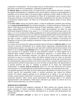 evaginación del diencéfalo. . El nervio óptico deja la cavidad orbitaria a través del canal óptico
para unirse con el nervio contralateral y conformar el quiasma óptico.
El quiasma óptico se encuentra junto a la unión del piso y pared anterior del tercer ventrículo.
Sus ángulos anterolaterales se continúan con los nervios ópticos, mientras los posterolaterales se
continúan con los tractos ópticos. El quiasma óptico representa el punto donde las fibras de la
hemirretina nasal de cada ojo (incluyendo las fibras de la hemimácula nasal) cruzan la línea
media para continuar su recorrido por el tracto óptico contralateral. Por otra parte, las fibras de
la hemirretina temporal junto a las fibras de la hemimácula temporal entran al tracto óptico
ipsilateral.
Cada tracto óptico emerge del quiasma óptico y rodea los pedúnculos cerebrales para terminar
en el cuerpo geniculado lateral, una eminencia pequeña y ovalada localizada en el pulvinar del
tálamo. Cada cuerpo geniculado lateral consta de 6 capas neuronales, siendo la 1 y 2 ventrales
(capas magnocelulares) y la 3 a la 6 dorsales (capas parvocelulares); las fibras de cada
hemirretina temporal terminan en las capas 2, 3 y 5, en tanto las de la hemirretina nasal en las
capas 1, 4 y 6. Los axones de las células ganglionares de la retina terminan en una configuración
retinotópica punto por punto en las seis capas del cuerpo geniculado lateral. Esta estructura no es
un simple relevo de los campos receptivos centro-perisferia de la retina a la corteza visual, sino
que aquí se altera o regula la transmisión de estímulos visuales mediante el mecanismo de
compuerta, el cual sirve para modular las aferencias visuales hacia la corteza visual asociada con
la atención visual.
Los axones de las neuronas del cuerpo geniculado lateral conforman la radiación óptica, la cual
atraviesa la porción retrolenticular de la cápsula interna organizadas retinotópicamente para
continuar hacia posterior a lo largo de la cara lateral del ventrículo lateral hasta terminar en la
lámina IV de la corteza visual primaria (área 17) que ocupa los labios superior e inferior del
surco calcarino en la superficie medial de cada hemisferio cerebral. La mitad superior de la
radiación óptica conduce impulsos de las hemirretinas superiores, y la mitad inferior de la
radiación óptica las hemirretinas inferiores. Las fibras de la retina periférica describen una
trayectoria en arco en la sustancia blanca del lóbulo temporal antes de cursar en dirección
posterior (asa de Meyer). La corteza visual primaria se organiza de forma que las proyecciones
de cada hemirretina superior terminan en la corteza sobre el surco calcarino, mientras que las de
cada hemirretina inferior lo hacen bajo este surco. En tanto, la mácula lútea está representada en
la porción posterior del área 17, mientras la periferia de la retina está representada
anteriormente. La corteza visual de asociación (áreas 18 y 19) recibe aferencias de la corteza
visual primaria y es la responsable del reconocimiento de objetos y de la percepción del color.
Una pequeña proporción de fibras del tracto óptico pasan directamente al núcleo pretectal y al
colículo superior del mesencéfalo donde se realizan conexiones que median los reflejos
visuales: El colículo superior participa en la orientación de la cabeza y los ojos hacia un
estímulo visual, mientras el pretectum se relaciona con la respuesta al reflejo pupilar y el reflejo
consensual luminoso. Otros axones pasan directamente del quiasma óptico a los núcleos
supraquiasmáticos del hipotálamo, donde hacen conexiones que median los efectos de la luz
sobre el sistema endocrino y los ritmos circadianos.
NERVIO OCULOMOTOR
El nervio oculomotor está compuesto solamente de fibras motoras que emergen desde dos
grupos nucleares: el núcleo oculomotor principal y el núcleo parasimpático accesorio (de
Edinger Westphal) que ocupan el borde anterolateral de la sustancia gris periacueductal del
mesencéfalo.
El núcleo oculomotor principal se ubica en la porción anterior de la sustancia gris
 