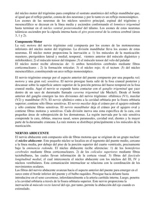 del núcleo motor del trigémino para completar el sustrato anatómico del reflejo mandibular que,
al igual que el reflejo patelar, consta de dos neuronas y por lo tanto es un reflejo monosináptico.
Los axones de las neuronas de los núcleos sensitivo principal, espinal del trigémino y
mesencefálico se decusan en la línea media y ascienden conformando el lemnisco trigeminal
hasta terminar en el núcleo ventral posteromedial del tálamo. Los axones de estas neuronas
talámicas ascienden por la cápsula interna hasta el giro postcentral de la corteza cerebral (áreas
3, 1 y 2).
Componente Motor
La raíz motora del nervio trigémino está compuesta por los axones de las motoneuronas
inferiores del núcleo motor del trigémino. La división mandibular lleva los axones de estas
neuronas. El núcleo motor proporciona la inervación a: 1) los músculos de la masticación:
masetero, pterigoideos lateral y medial, temporal, vientres anterior del músculo digástrico y
milohioídeo); 2) el músculo tensor del tímpano ;3) el músculo tensor del velo del paladar
El núcleo motor recibe aferencias de: 1) ambos hemisferios cerebrales mediante fibras
corticonucleares ; 2) la formación reticular; 3) el núcleo rojo; 4) el tectum ;5) del núcleo
mesencefálico, constituyendo un arco reflejo monosináptico.
El nervio trigémino emerge por el aspecto anterior del puente compuesto por una pequeña raíz
motora y una gran raíz sensitiva. El nervio prosigue hasta salir de la fosa craneal posterior y
descansar sobre la superficie antero superior de la porción petrosa del hueso temporal en la fosa
craneal media. Aquí el nervio se expande hasta contactar con el ganglio trigeminal que yace
dentro de un saco de duramadre llamado caverna trigeminal (de Meckel). Desde el borde
anterior del ganglio emergen las tres divisiones del nervio trigémino: oftálmica (V1), maxilar
(V2) y mandibular (V3). El nervio oftálmico entra a la cavidad orbitaria por la fisura orbitaria
superior; contiene sólo fibras sensitivas. El nervio maxilar deja el cráneo por el agujero redondo
y sólo contiene fibras sensitivas. El nervio mandibular deja el cráneo por el agujero oval y
contiene fibras motoras y sensitivas. Cada división inerva una zona específica de la cara, con
pequeñas áreas de sobreposición de los dermatomas. La región inervada por la raíz sensitiva
comprende la cara, órbitas, mucosa nasal, senos paranasales, cavidad oral, dientes y la mayor
parte de la duramadre craneana. La raíz motora se distribuye principalmente a los músculos de la
masticación.
NERVIO ABDUCENTE
El nervio abducente está compuesto sólo de fibras motoras que se originan de un grupo nuclear:
el núcleo abducente. Este pequeño núcleo se localiza en el tegmento del puente medio, cercano
a la línea media, por debajo del piso de la porción superior del cuarto ventrículo, precisamente
bajo la eminencia redonda. El núcleo abducente recibe aferencias: 1) de los hemisferios
cerebrales mediante fibras corticonucleares. 2) de los colículos superiores mediante fibras
tectobulbares, las cuales llevan información de la corteza visual. 3) fibras del fascículo
longitudinal medial, el cual interconecta el núcleo abducente con los núcleos del III, IV y
núcleos vestibulares. Esta comunicación internuclear se relaciona con la coordinación de los
movimientos oculares.
Las fibras del nervio abducente avanzan hacia el aspecto anterior del puente para emerger en el
surco entre el borde inferior del puente y el bulbo raquídeo. Prosigue hacia delante hasta
introducirse en el seno cavernoso, inferolateralmente a la arteria carótida interna. Luego, penetra
a la cavidad orbitaria a través de la fisura orbitaria superior. Este nervio proporciona la
inervación al músculo recto lateral del ojo, por tanto, permite la abducción del ojo cuando es
estimulado.
 