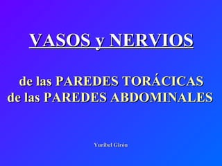 Yuribel Girón  VASOS y NERVIOS de las PAREDES TORÁCICAS de las PAREDES ABDOMINALES   