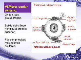 VI.Motor ocular
externo.
Origen real:
protuberancia.

Salida del cráneo:
hendidura orbitaria
superior.

Función principal:
movimientos
oculares.



                      Page 8
 