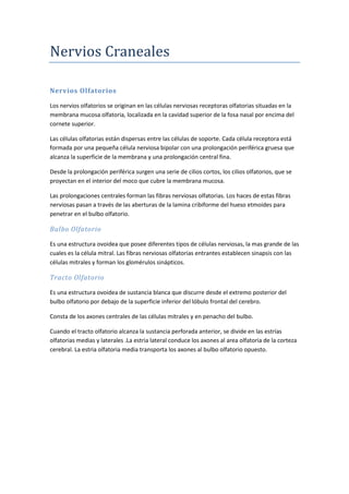 Nervios Craneales
Nervios Olfatorios
Los nervios olfatorios se originan en las células nerviosas receptoras olfatorias situadas en la
membrana mucosa olfatoria, localizada en la cavidad superior de la fosa nasal por encima del
cornete superior.
Las células olfatorias están dispersas entre las células de soporte. Cada célula receptora está
formada por una pequeña célula nerviosa bipolar con una prolongación periférica gruesa que
alcanza la superficie de la membrana y una prolongación central fina.
Desde la prolongación periférica surgen una serie de cilios cortos, los cilios olfatorios, que se
proyectan en el interior del moco que cubre la membrana mucosa.
Las prolongaciones centrales forman las fibras nerviosas olfatorias. Los haces de estas fibras
nerviosas pasan a través de las aberturas de la lamina cribiforme del hueso etmoides para
penetrar en el bulbo olfatorio.
Bulbo Olfatorio
Es una estructura ovoidea que posee diferentes tipos de células nerviosas, la mas grande de las
cuales es la célula mitral. Las fibras nerviosas olfatorias entrantes establecen sinapsis con las
células mitrales y forman los glomérulos sinápticos.
Tracto Olfatorio
Es una estructura ovoidea de sustancia blanca que discurre desde el extremo posterior del
bulbo olfatorio por debajo de la superficie inferior del lóbulo frontal del cerebro.
Consta de los axones centrales de las células mitrales y en penacho del bulbo.
Cuando el tracto olfatorio alcanza la sustancia perforada anterior, se divide en las estrías
olfatorias medias y laterales .La estria lateral conduce los axones al area olfatoria de la corteza
cerebral. La estria olfatoria media transporta los axones al bulbo olfatorio opuesto.
 