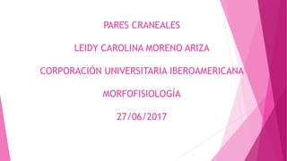PARES CRANEALES
LEIDY CAROLINA MORENO ARIZA
CORPORACIÓN UNIVERSITARIA IBEROAMERICANA
MORFOFISIOLOGÍA
27/06/2017
 