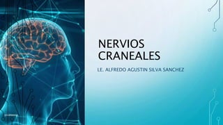NERVIOS
CRANEALES
LE. ALFREDO AGUSTIN SILVA SANCHEZ
 