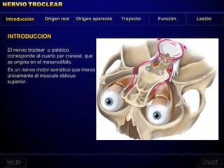 El nervio troclear o patético
corresponde al cuarto par craneal, que
se origina en el mesencéfalo.
Es un nervio motor somático que inerva
únicamente al músculo oblicuo
superior.
Introducción Origen real Origen aparente Trayecto Función Lesión
INTRODUCCION
 