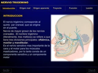 El nervio trigémino corresponde al
quinto par craneal, que se origina
en el puente.
Introducción Origen real Origen aparente Trayecto Función Lesión
INTRODUCCION
Nervio de mayor grosor de los nervios
craneales . El nombre trigémino
(literalmente, tres mellizos) se refiere a que
tiene tres divisiones principales: oftálmica,
maxilar y mandibular.
Es el nervio sensitivo mas importante de la
cara y el motor para los músculos
masticadores, por lo tanto consta de un
componente sensitivo y un componente
motor
 