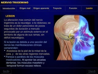 Si la lesión es debida a una sección del
nervio las manifestaciones clínicas
comprenden:
 Anestesia de la piel de la mitad de la
cara, y de las otras regiones inervadas.
 Paresia o parálisis de los músculos
masticadores. Al apretar las arcadas
dentarias los músculos masetero y
temporal forman escaso relieve.
LESION
Introducción Origen real Origen aparente Trayecto Función Lesión
La alteración mas común del nervio
trigémino es la neuralgia o tic doloroso; se
trata de un dolor paroxístico de pocos
segundos de duración a menudo
provocado por un estímulo externo en el
territorio de alguna de sus ramas, sin
déficit neurológico.
 
