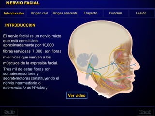 El nervio facial es un nervio mixto
que está constituido
aproximadamente por 10,000
fibras nerviosas, 7,000 son fibras
mielínicas que inervan a los
músculos de la expresión facial.
Tres mil de estas fibras son
somatosensoriales y
secretomotoras constituyendo el
nervio intermediario o
intermediario de Wrisberg.
Introducción Origen real Origen aparente Trayecto Función Lesión
INTRODUCCION
Ver video
 