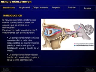 El nervio oculomotor o motor ocular
común corresponde al tercer par
craneal, que se origina en el
mesencéfalo.
Es un nervio mixto, constituido por 2
componentes con distinta función:
 Un componente motor somático
que controla los músculos
responsables de los movimientos
precisos de los ojos para la
localización visual o fijación de un
objeto.
 Un componente motor visceral
involucrado en el reflejo pupilar a
la luz y en la acomodación.
Introducción Origen real Origen aparente Trayecto Función Lesión
INTRODUCCION
 