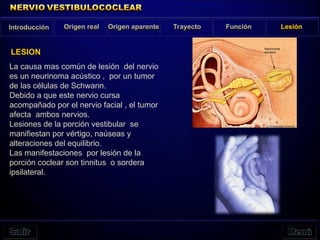 La causa mas común de lesión del nervio
es un neurinoma acústico , por un tumor
de las células de Schwann.
Debido a que este nervio cursa
acompañado por el nervio facial , el tumor
afecta ambos nervios.
Lesiones de la porción vestibular se
manifiestan por vértigo, naúseas y
alteraciones del equilibrio.
Las manifestaciones por lesión de la
porción coclear son tinnitus o sordera
ipsilateral.
Introducción Origen real Origen aparente Trayecto Función Lesión
LESION
 