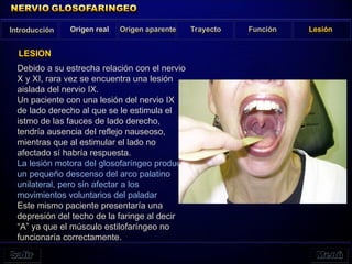Introducción Origen real Origen aparente Trayecto Función Lesión
LESION
Debido a su estrecha relación con el nervio
X y XI, rara vez se encuentra una lesión
aislada del nervio IX.
Un paciente con una lesión del nervio IX
de lado derecho al que se le estimula el
istmo de las fauces de lado derecho,
tendría ausencia del reflejo nauseoso,
mientras que al estimular el lado no
afectado sí habría respuesta.
La lesión motora del glosofaríngeo produce
un pequeño descenso del arco palatino
unilateral, pero sin afectar a los
movimientos voluntarios del paladar
Este mismo paciente presentaría una
depresión del techo de la faringe al decir
“A” ya que el músculo estilofaríngeo no
funcionaría correctamente.
 