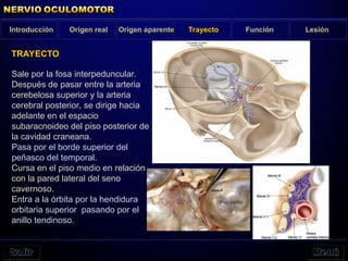 Origen real Origen aparente Trayecto Función Lesión
Introducción
TRAYECTO
Sale por la fosa interpeduncular.
Después de pasar entre la arteria
cerebelosa superior y la arteria
cerebral posterior, se dirige hacia
adelante en el espacio
subaracnoideo del piso posterior de
la cavidad craneana.
Pasa por el borde superior del
peñasco del temporal.
Cursa en el piso medio en relación
con la pared lateral del seno
cavernoso.
Entra a la órbita por la hendidura
orbitaria superior pasando por el
anillo tendinoso.
 