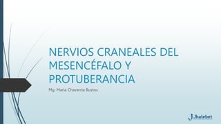 NERVIOS CRANEALES DEL
MESENCÉFALO Y
PROTUBERANCIA
Mg. María Chavarria Bustos
 