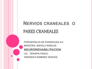 NERVIOS CRANEALES O 
PARES CRANEALES 
PORTAFDOLIO DE EVIDENCIAS 6-C 
MAESTRA: MAYELA ROBLES 
NEUROREHABILITACION 
LIC. TERAPIA FISICA: 
VERONICA RAMIREZ VENCES. 
 