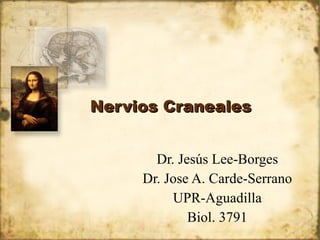 Nervios Craneales


       Dr. Jesús Lee-Borges
     Dr. Jose A. Carde-Serrano
          UPR-Aguadilla
             Biol. 3791
 