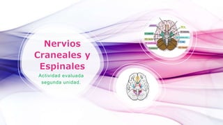 Nervios
Craneales y
Espinales
Actividad evaluada
segunda unidad.
 