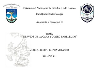 Universidad Autónoma Benito Juárez de Oaxaca

           Facultad de Odontología


           Anatomía y Disección II



                 TEMA
“NERVIOS DE LA CARA Y CUERO CABELLUDO”




      JOSE ALBERTO LOPEZ VELASCO

                GRUPO: 21
 