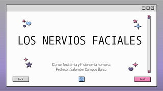 LOS NERVIOS FACIALES
Curso: Anatomía y Fisionomía humana
Profesor: Salomón Campos Barco
Back Next
 