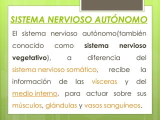 SISTEMA NERVIOSO AUTÓNOMO   El sistema nervioso autónomo(también conocido como  sistema nervioso vegetativo ), a diferencia del  sistema nervioso somático , recibe la información de las  vísceras  y del  medio interno , para actuar sobre sus  músculos ,  glándulas  y  vasos sanguíneos . 