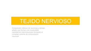 TEJIDO NERVIOSO
Comprende millones de neuronas y células
glíales que forman una incalculable
cantidad de interconexiones formando el
complejo sistema de comunicación
neuronal
 