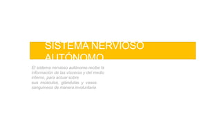 SISTEMA NERVIOSO
AUTÓNOMO
El sistema nervioso autónomo recibe la
información de las vísceras y del medio
interno, para actuar sobre
sus músculos, glándulas y vasos
sanguíneos de manera involuntaria
 