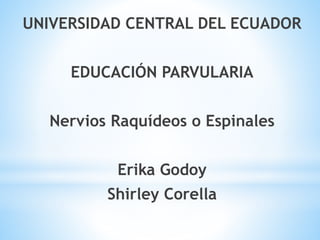 UNIVERSIDAD CENTRAL DEL ECUADOR
EDUCACIÓN PARVULARIA
Nervios Raquídeos o Espinales
Erika Godoy
Shirley Corella
 