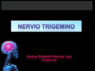 NERVIO TRIGEMINO  Andrea Elízabeth Berríos Jara Cirugia oral  