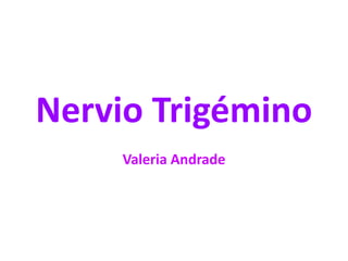 Nervio Trigémino
Valeria Andrade

 