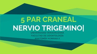 5 PAR CRANEAL
NERVIO TRIGEMINO|UNIVERSIDAD VERACRUZANA
FACULTAD DE ODONTOLOGÍA
ANATOMÍA HUMANA II
 