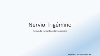 Nervio Trigémino
Segunda rama (Maxilar superior)
Alejandro Cavazos Gamero 4B
 